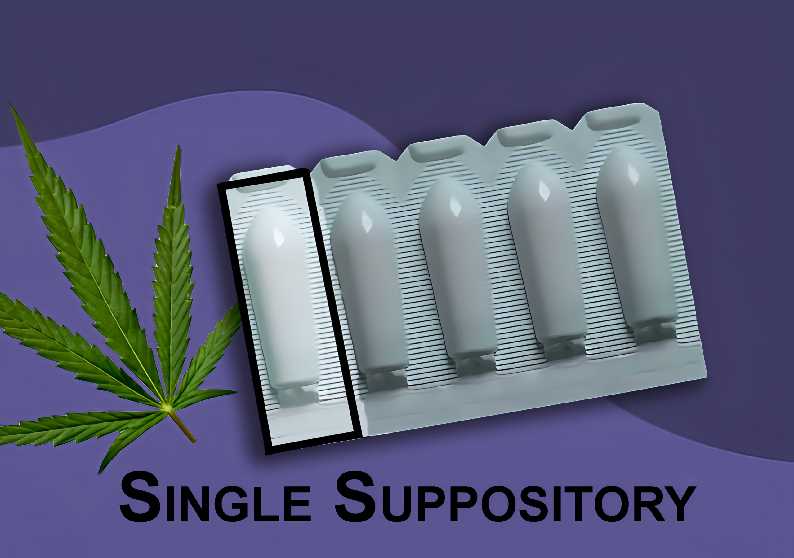 Suppository (1.0 gram/each)