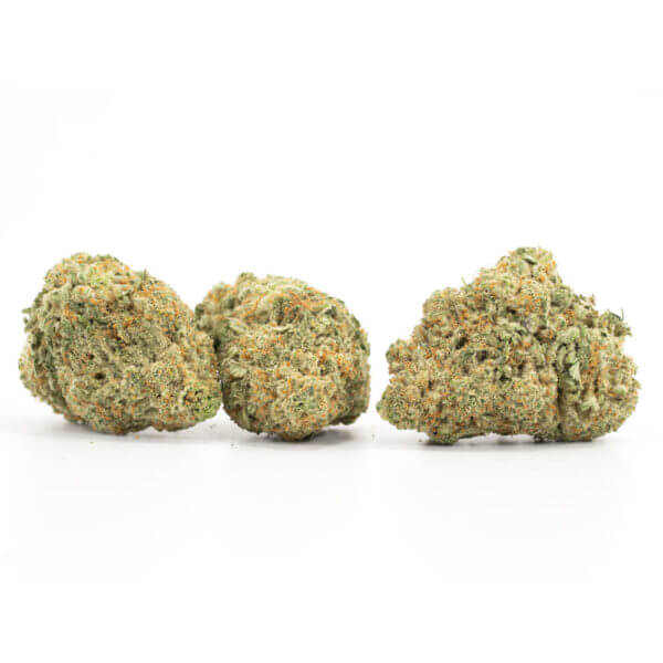 Afghan Hammer Strain - Image 2