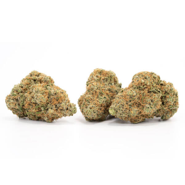 Agent Orange Strain - Image 2