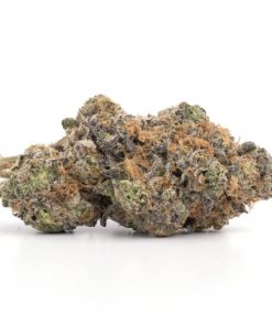 Animal Cookies Strain