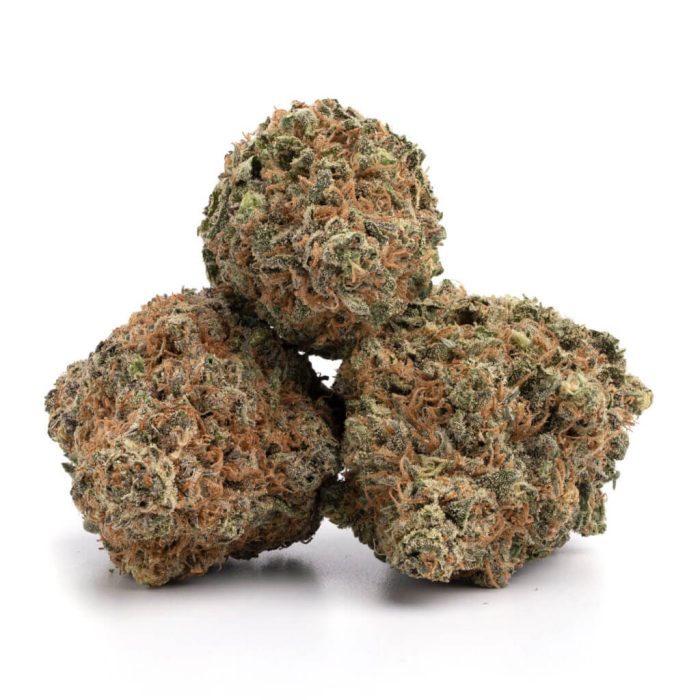 Black Widow Strain - Image 2