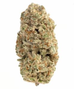 Crescendo Strain